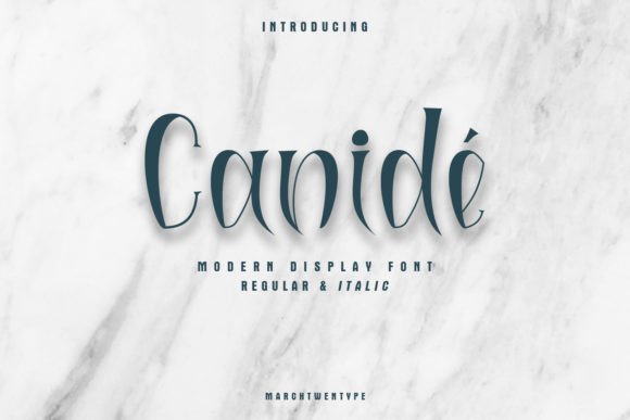 Canidé: A Display Font That Makes Your Brand Feel Intentional
